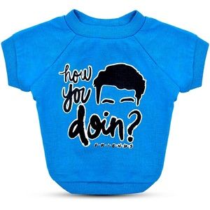 ‘How you doin?’ Dog tee 💙